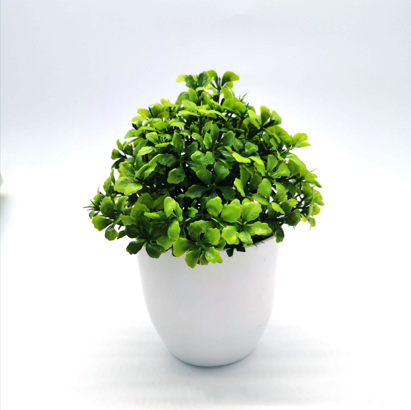 Source Simulation Plant Potted Flowers And Green Plants