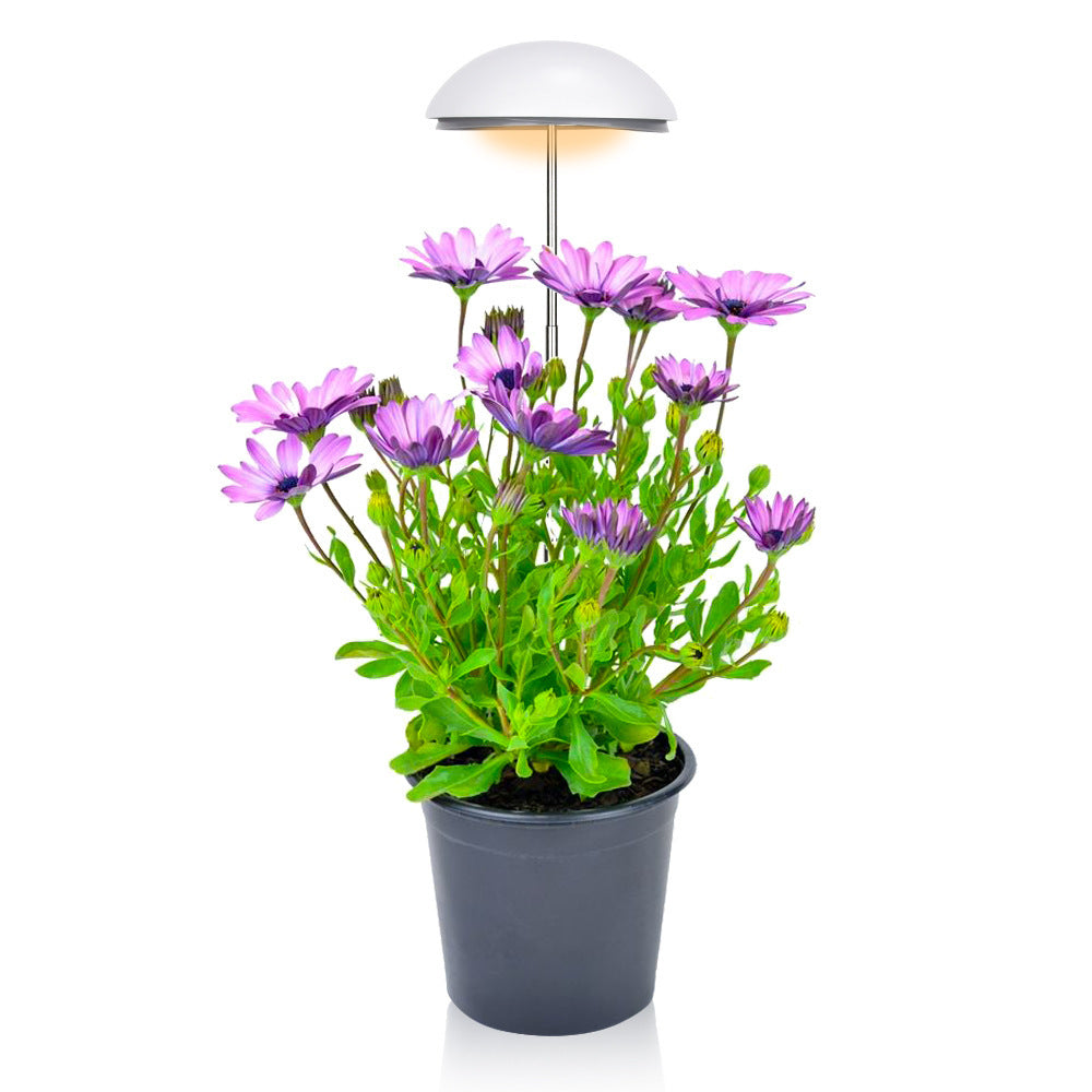 Adjusting Brightness Cycle Timing For Small Full Spectrum Plant Lamps