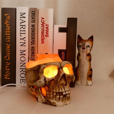 Himalayan Crystal Salt Lamp - Skull Night Light