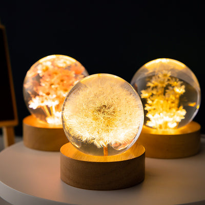 Luminous 3D Dandelion Crystal Ball Beech Wood Stand Base Preserved Flower Sphere Ball Desktop Ornaments