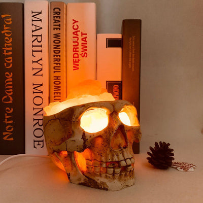 Himalayan Crystal Salt Lamp - Skull Night Light