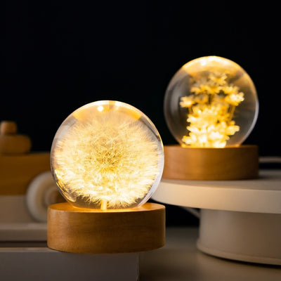 Luminous 3D Dandelion Crystal Ball Beech Wood Stand Base Preserved Flower Sphere Ball Desktop Ornaments